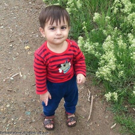 بهداد