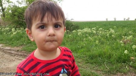 بهداد
