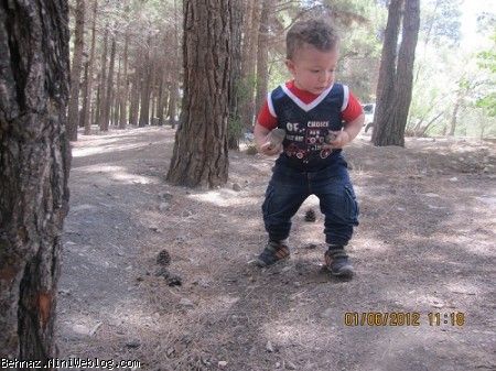 رادین در حال جمع آوری سنگهای بسی بزرگ!