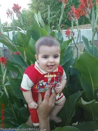 چنار باغ مش رمضون