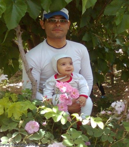 من ودندون خرگوشی