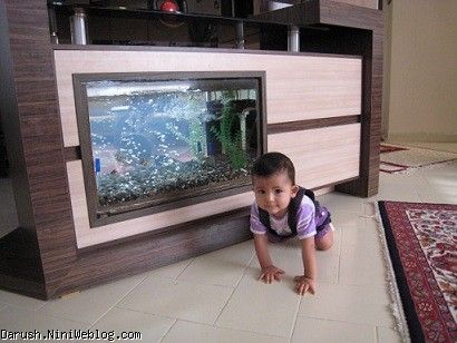 عشق اکواریومی هر طور شده خودتو بهش می رسونی