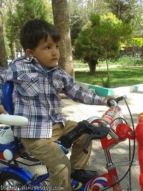 داریوش ودوچرخش