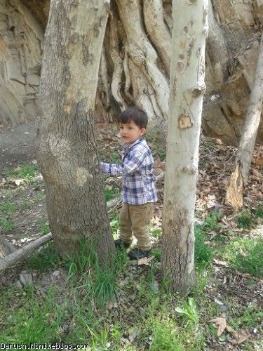 داریوش در 13به در