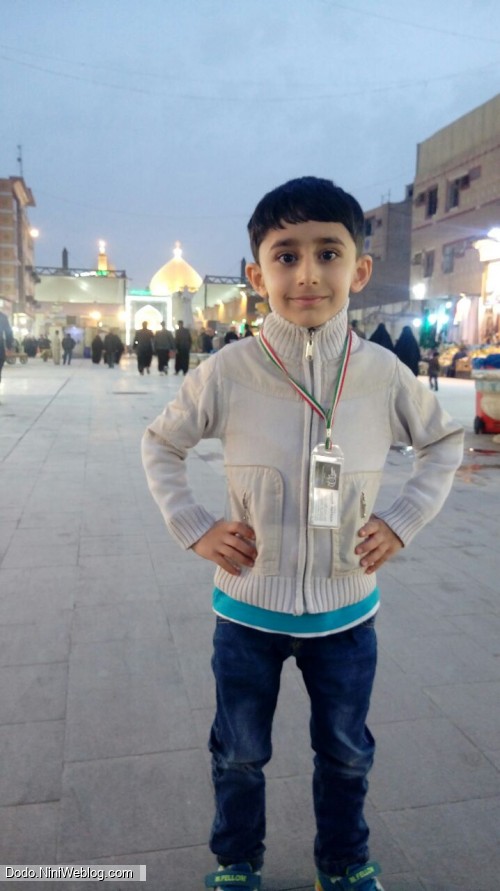 بارگاه مطهر حضرت علی (ع)