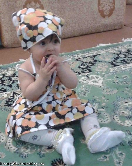 سایدا