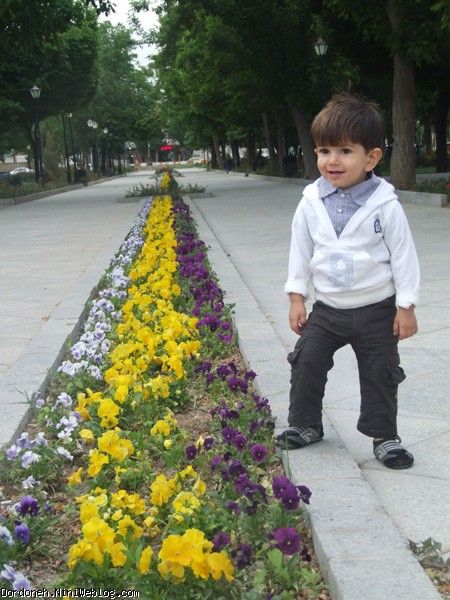 همدان