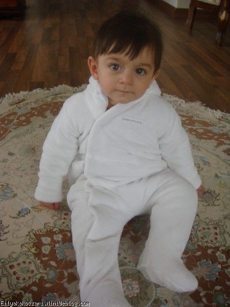 خرس پشمالوی سفید