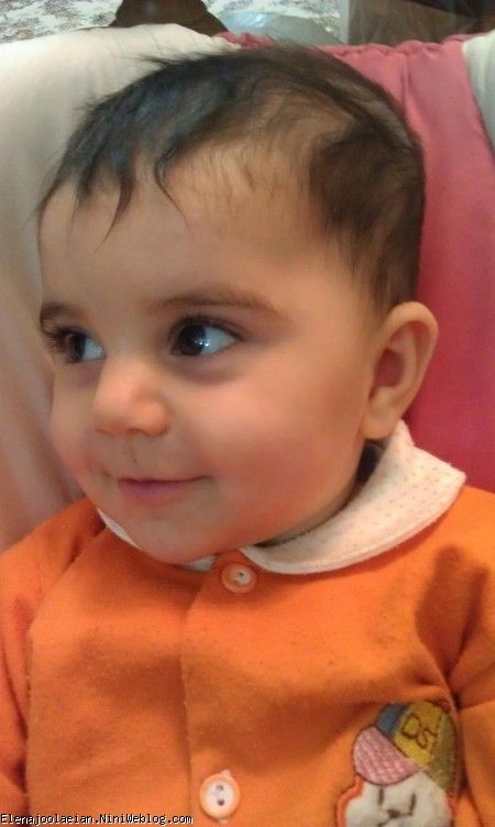 7 ماهگي