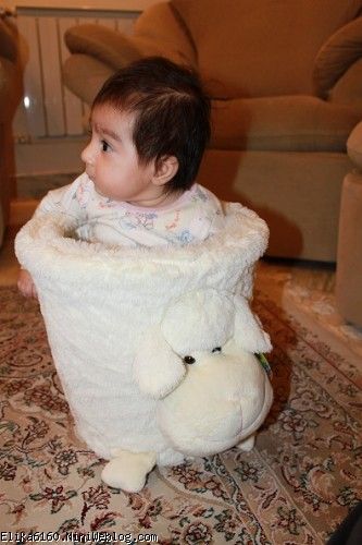 شیطونی شیطونی