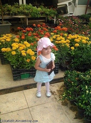 آریسا