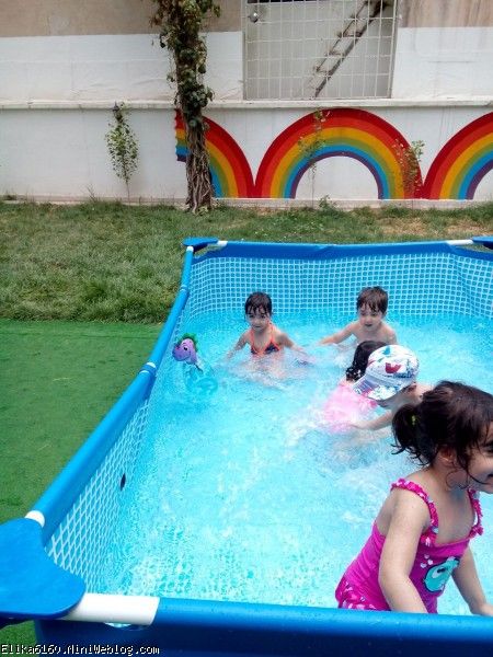 آریسا