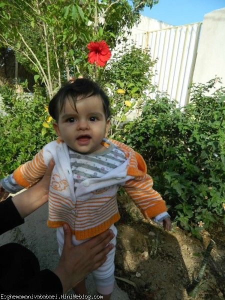 نازنین زهرا