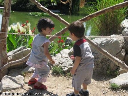 باغ گلها