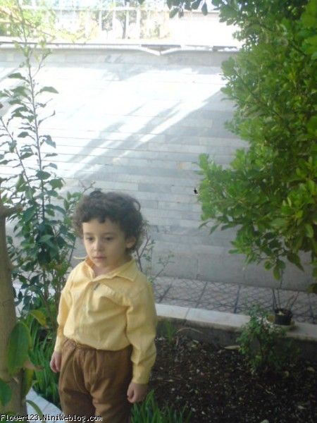 لسس