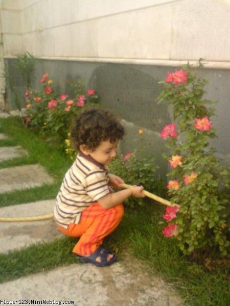 آبیاری
