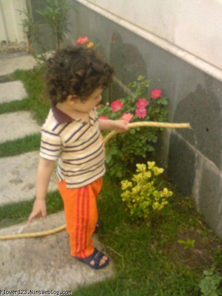 آبیاری