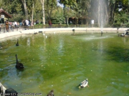 باغ پرندگان اصفهان