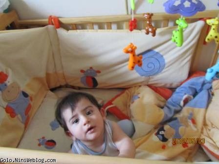  به نظر شما کدومیک از این عکسها قشنگتره ؟؟؟