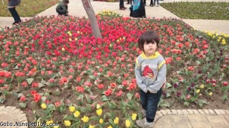 اميرحسين در حاليكه داره به عكس گرفتن من اعتراض ميكنه