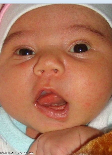 نیکا دختری از دیار نصف جهان