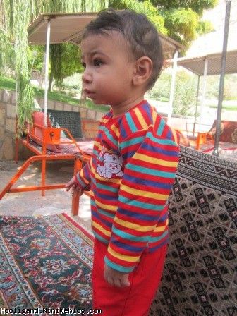 وسطای مهر