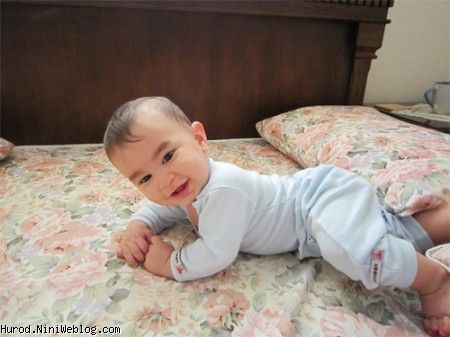 سال اول