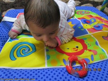 غلت زدن ایلیای من
