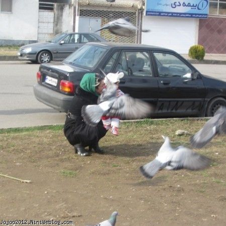 ویانا و کبوترها DOVE AND VIANA