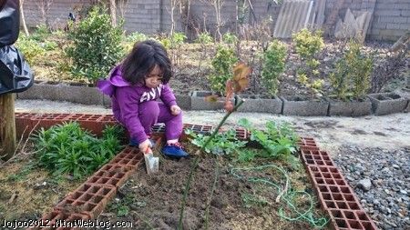 باغبونی کردن ویاناکوچولو