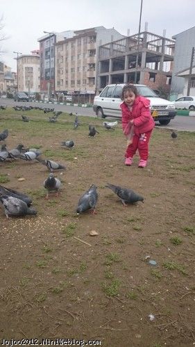 غذا دادن ویانا به کبوترها