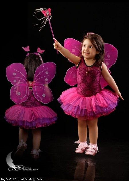 تم پروانه برای جشن (ویانای کوچولوی من)