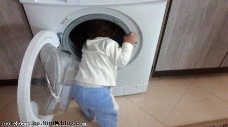 جوجه در ماشین لباسشویی
