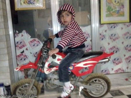 بلابل