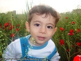 کیارش وشقایق ها