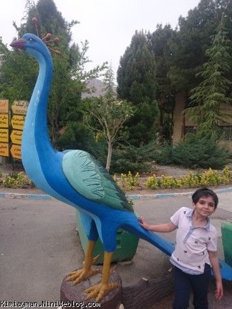 کیمیای عزیزم 
