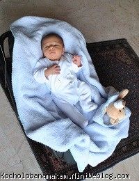آرتین چند روزه 