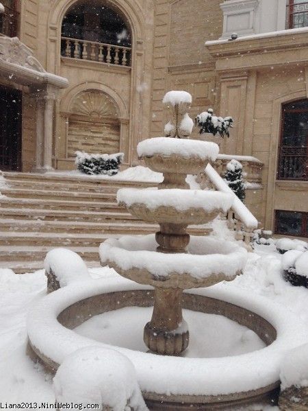برف نما