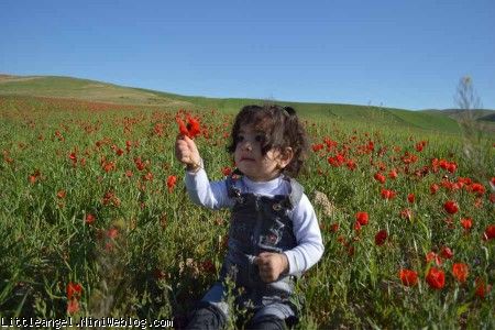 نازنین دخمل