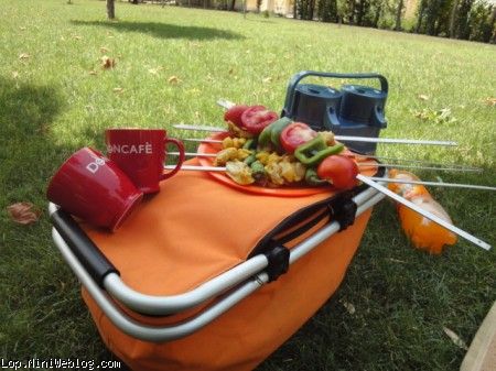 pic nic
