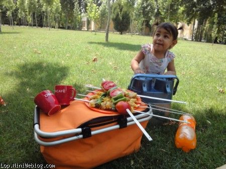 pic nic