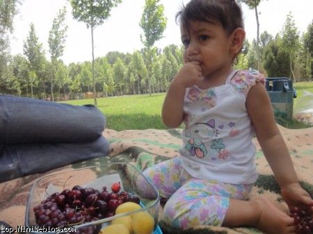 pic nic