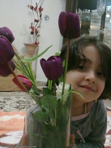 دوستت داریم مائده جان (مامان وبابا) موش بخوره