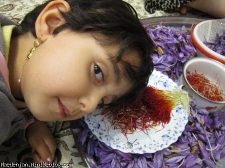 زعفران سال 91 گلچینی از عکسهای من تا چهار سالگی
