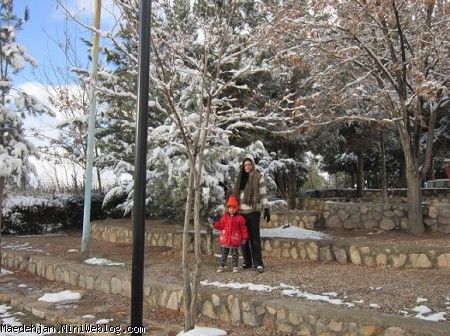 زمستان 91 پارک جنگلی قاین گلچینی از عکسهای من تا چهار سالگی