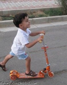 بوس