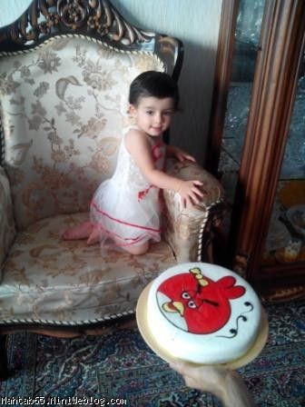 نی نی