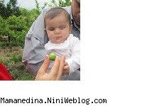 دینا