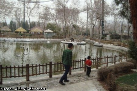 باغ پرندگان6
