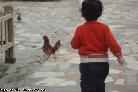 باغ